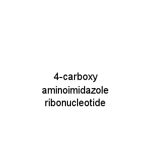 4-carboxy aminoimidazole ribonucleotide